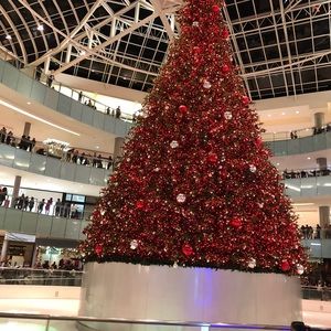 Meet your Posher, Habibatou